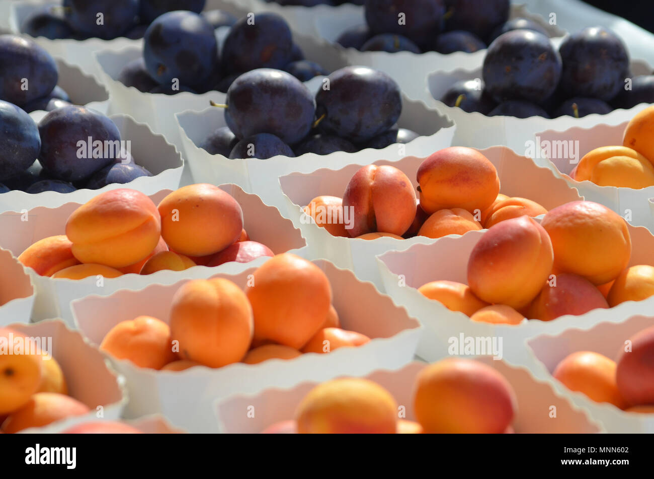 Closeup of fresh plums and apricots at the Cours Saleya produce market in Nice, France, plum Stock Photo