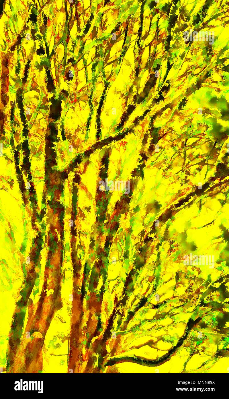 Abstract colorfully graphic digital photo art painting Stock Photo