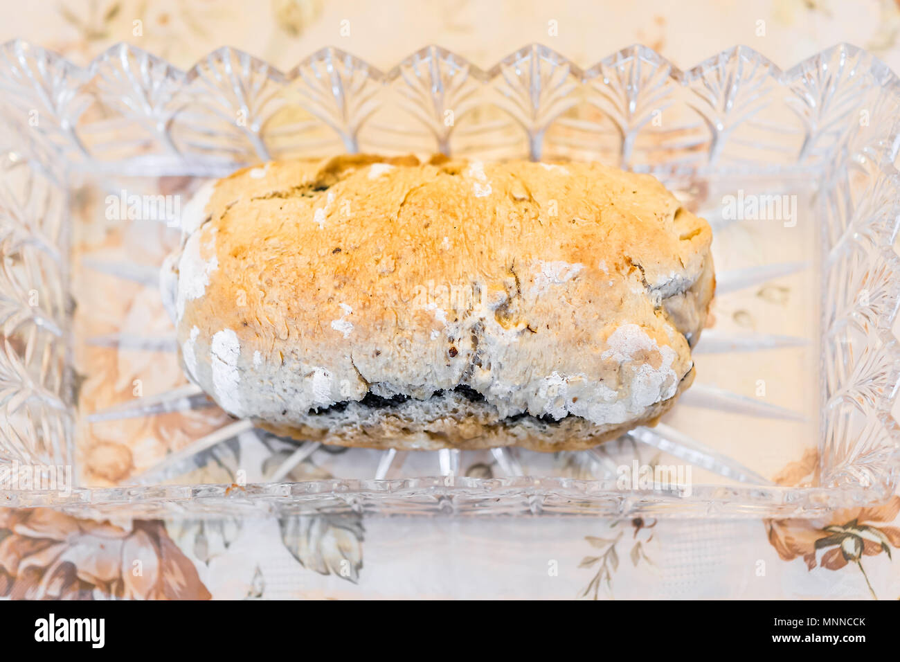 Closeup of golden baked whole poppy seed roll cake, or chocolate babka