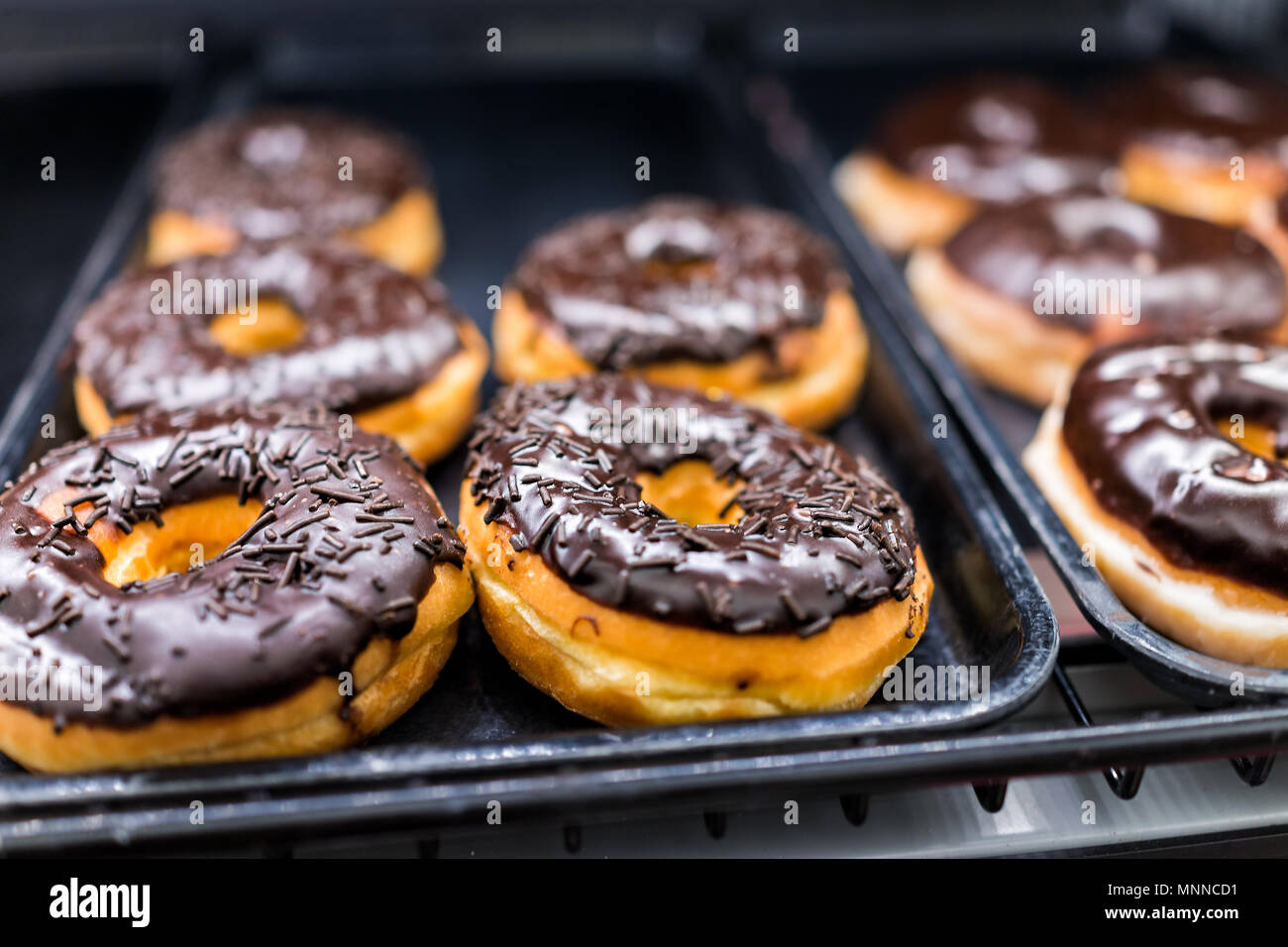 Chocolate icing donuts with sprinkles closeup on bakery tray, deep fried vanilla, delicious tasty with holes Stock Photo