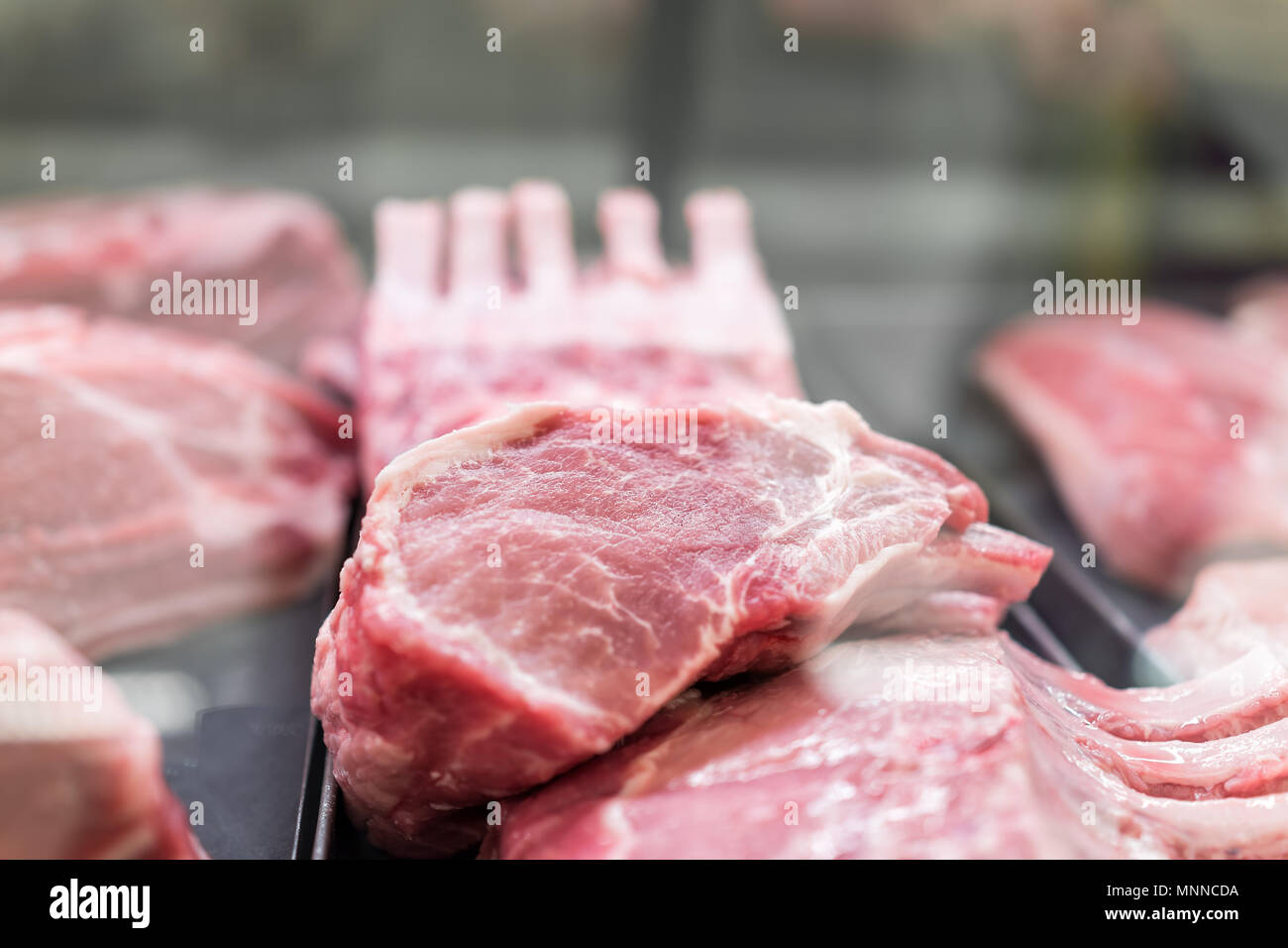 Pink red raw meat lamb on shanks, bonein bone in store display, trays