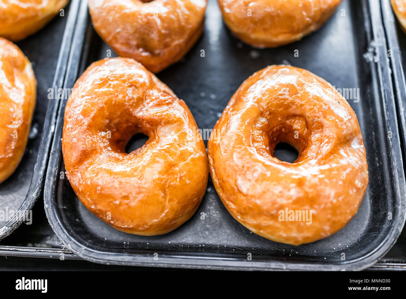 Plain glazed sugar donuts with holes closeup on bakery tray, deep fried