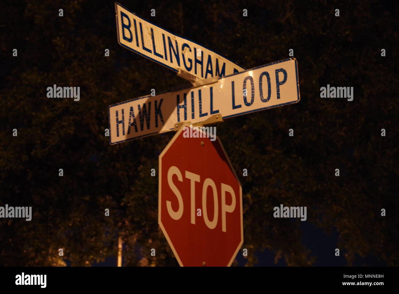 Tampa, Florida / USA - May 5 2018: Billingham Drive and Hawk Hill Loop Crossing Street Sign Stock Photo