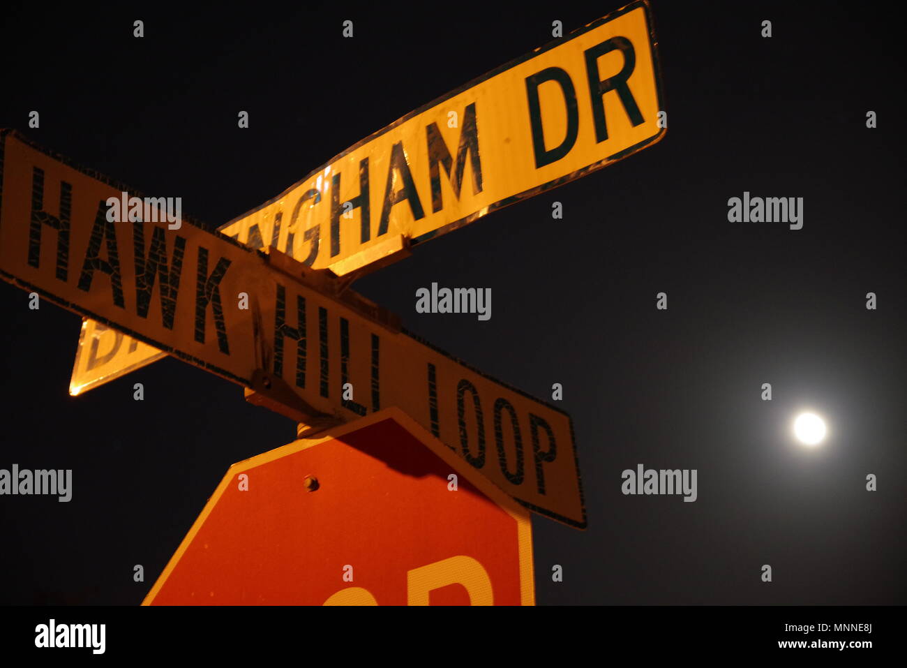 Tampa, Florida / USA - May 5 2018: Billingham Drive and Hawk Hill Loop Crossing Street Sign Stock Photo