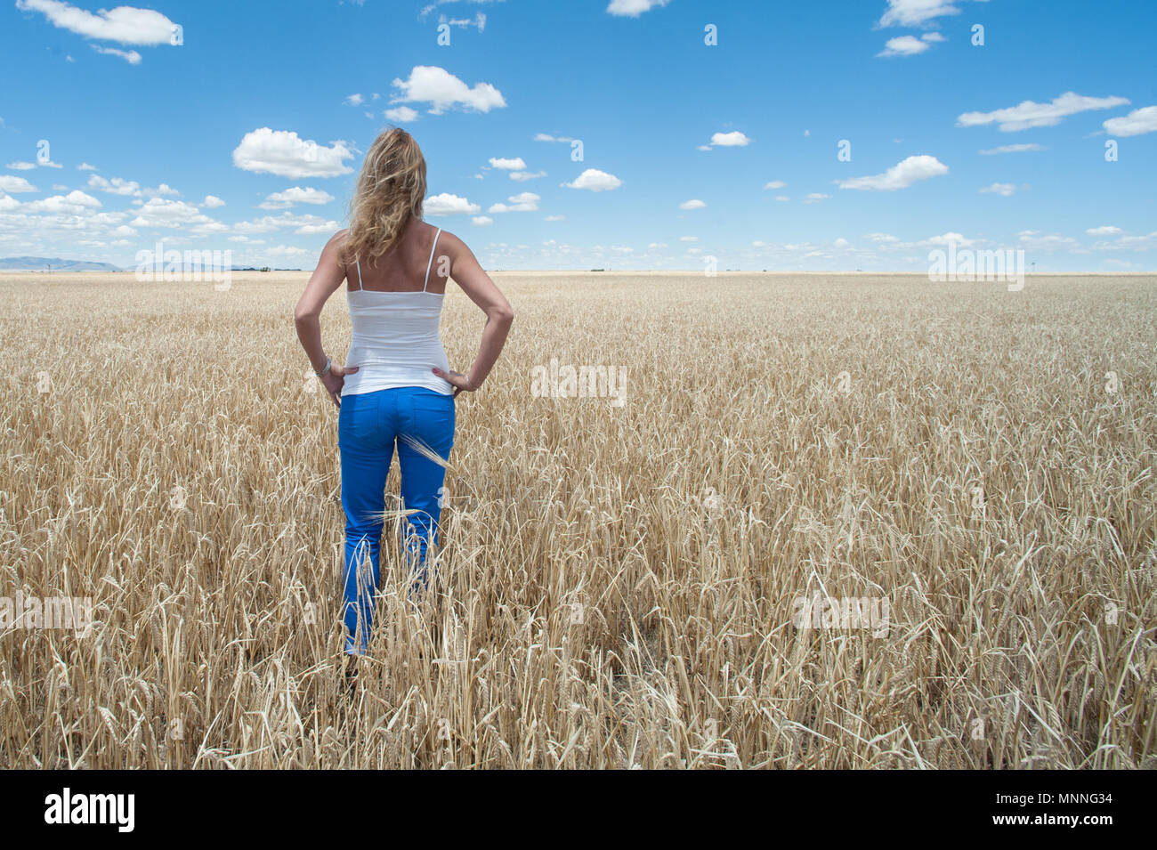 Woman in the field of wheat Stock Photo - Alamy