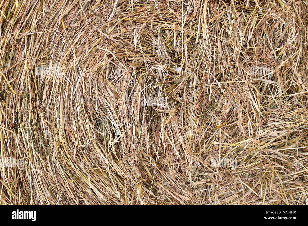 Twisted haystack hi-res stock photography and images - Alamy