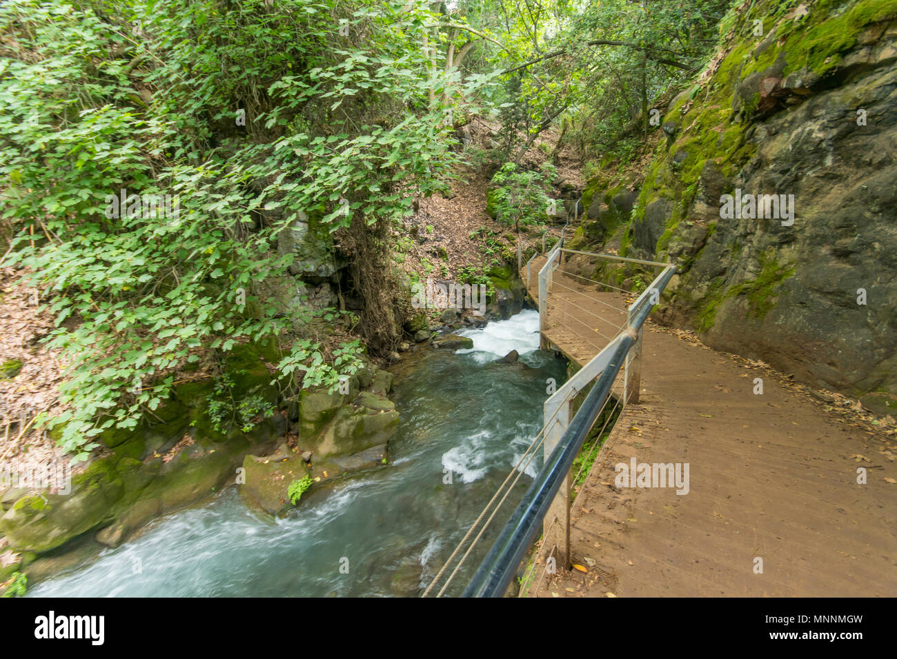 The hanging footpath in the Hermon Stream (Banias) Nature Reserve, Northern Israel Stock Photo
