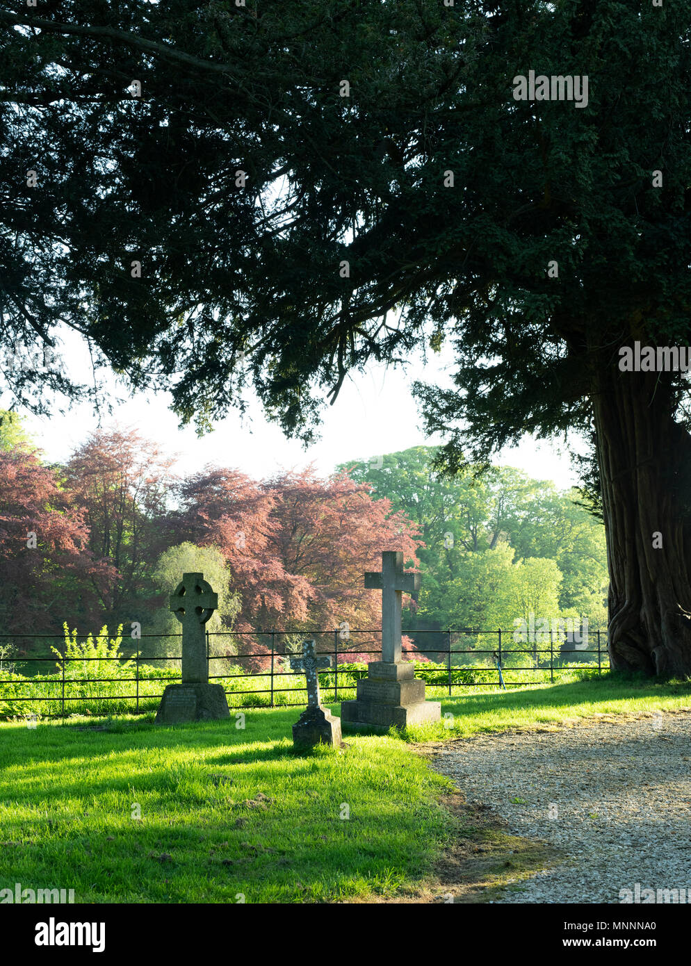 Graves gravestones gravestone headstones burial ground hi-res stock ...