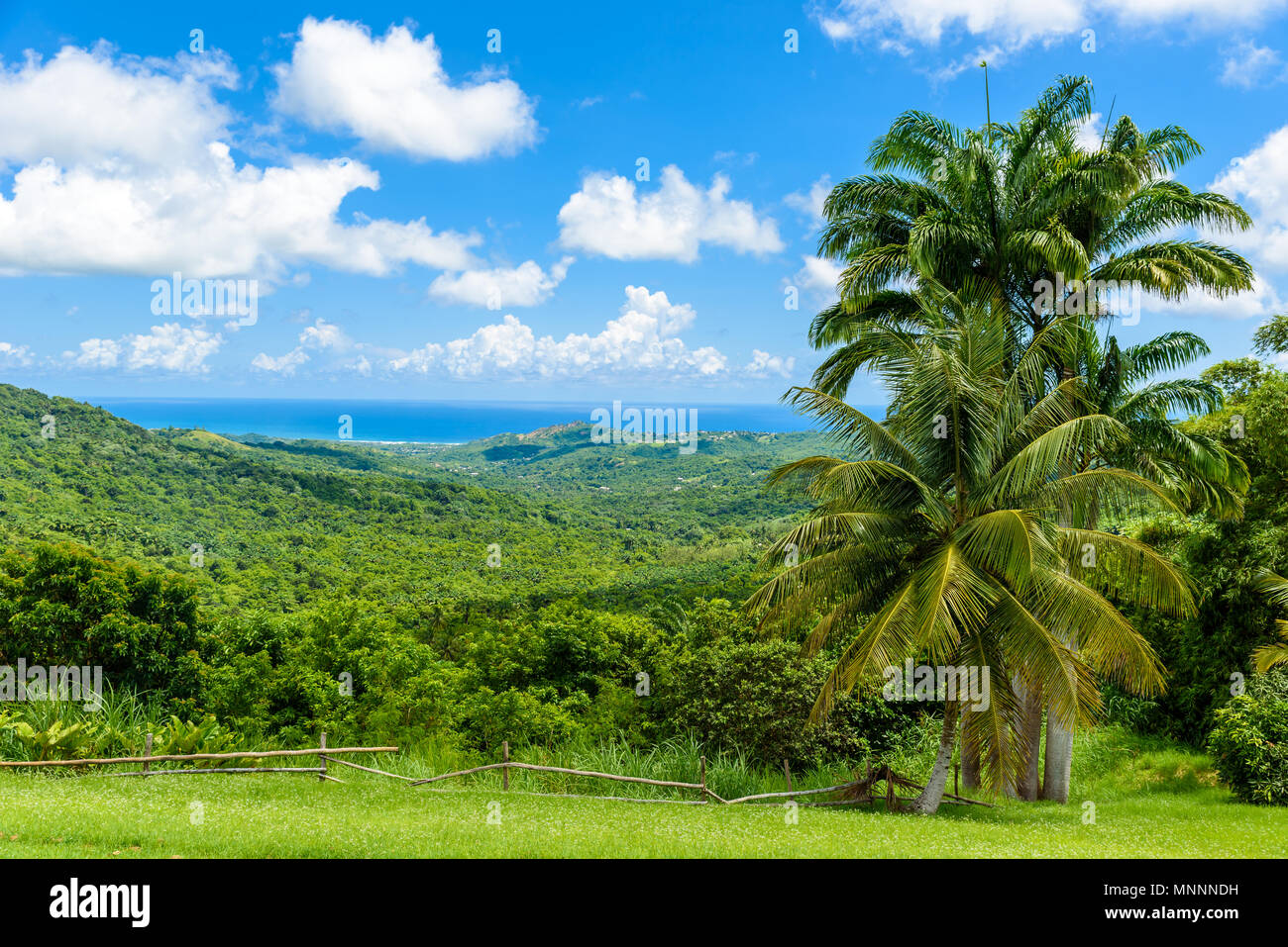 Barbados highland adventure center hires stock photography and images