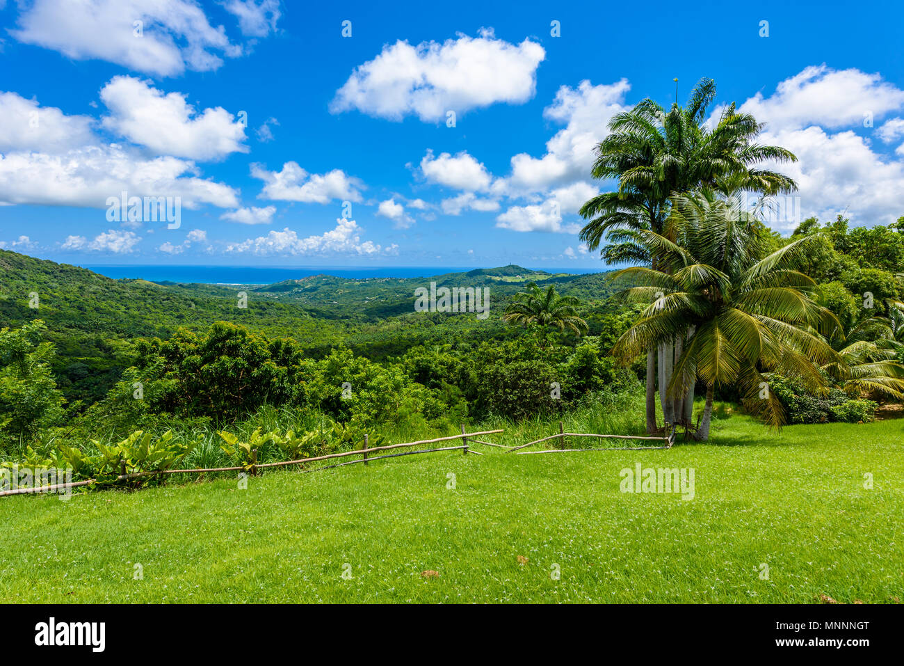 Barbados highland adventure center hires stock photography and images