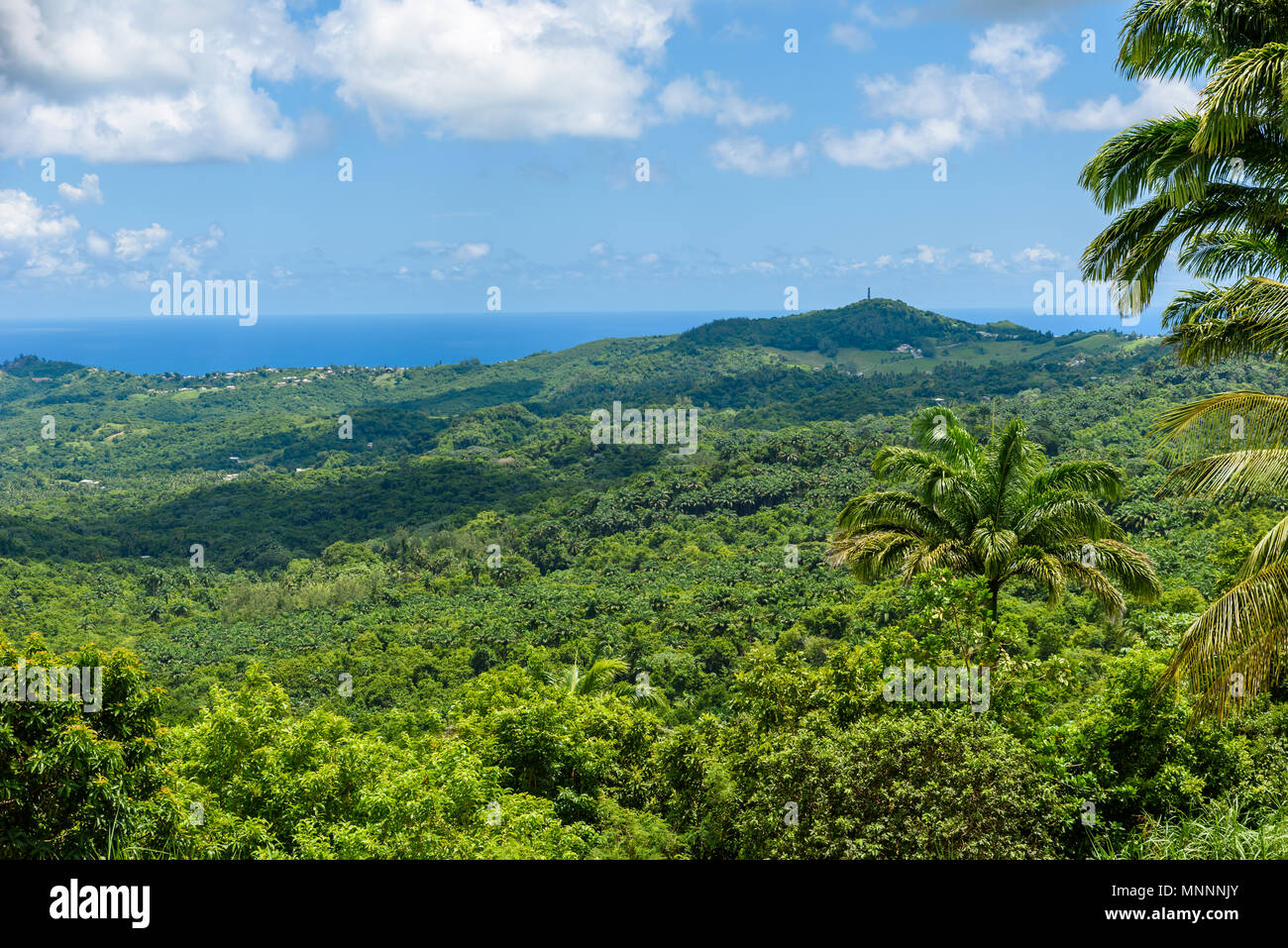 Barbados highland adventure center hires stock photography and images