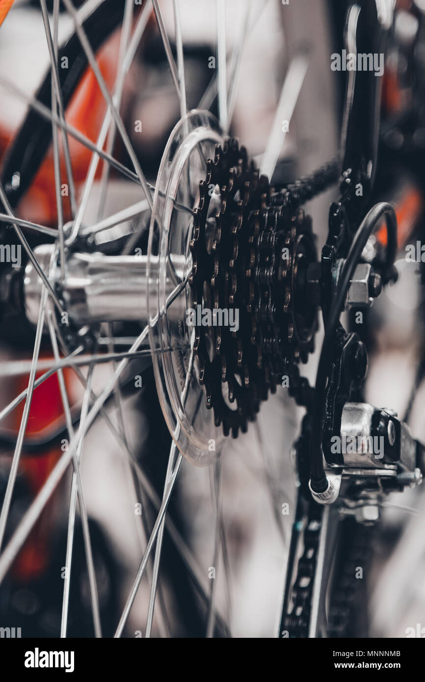 Bike speed changing assembly. Rear wheel. Steel bicycle chain