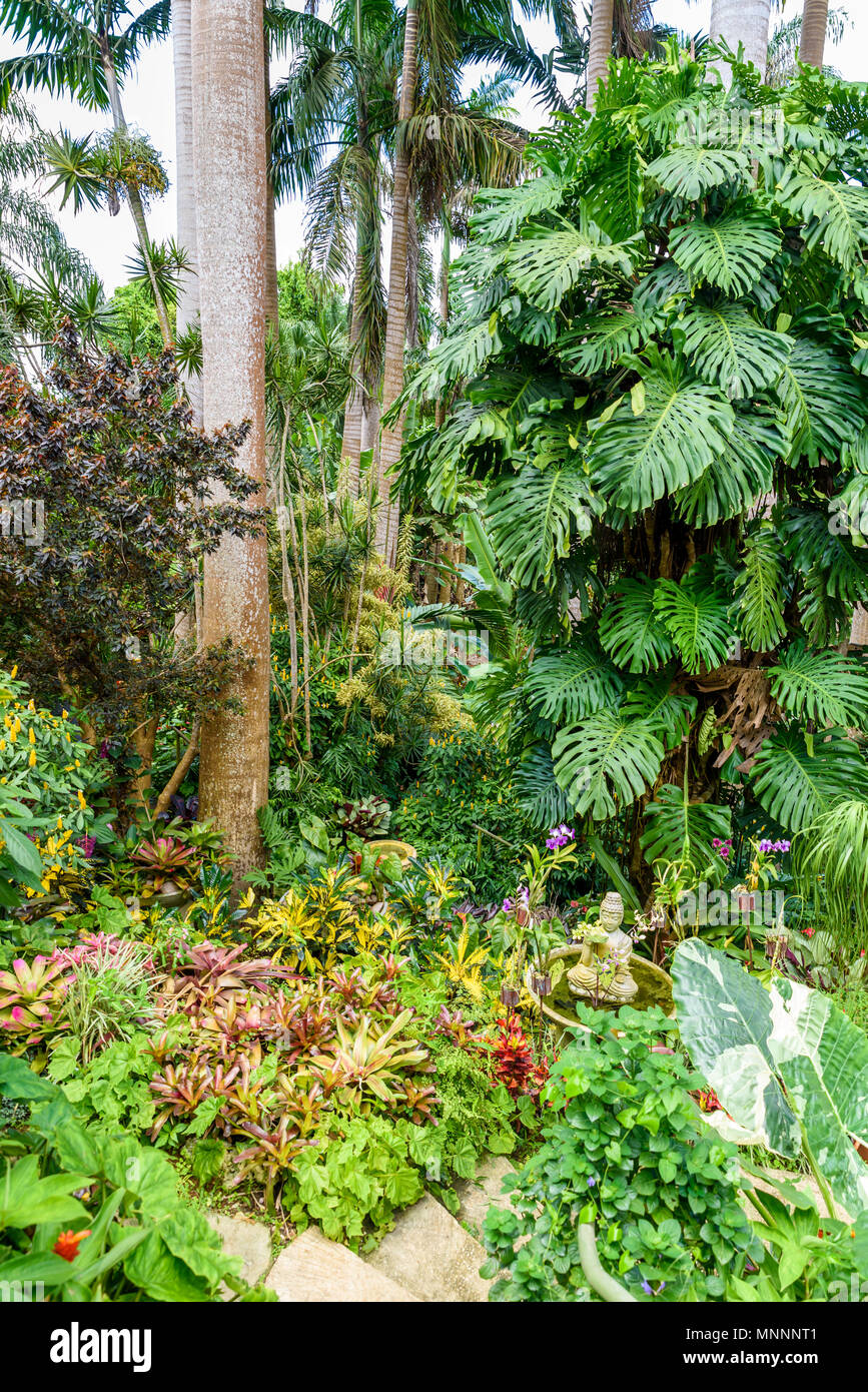 Andromeda Botanical Garden Barbados Stock Photos Andromeda