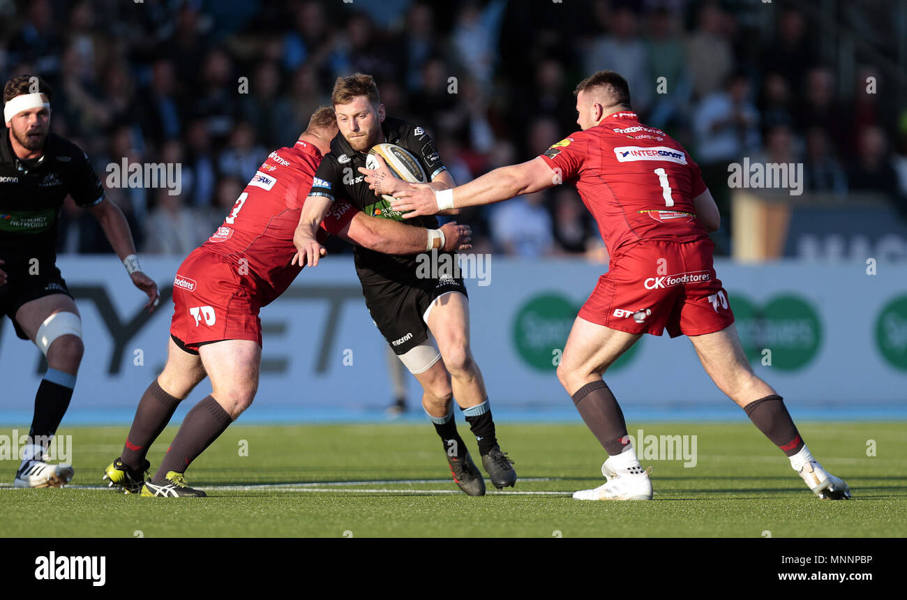 Scarlets samson lee hi-res stock photography and images