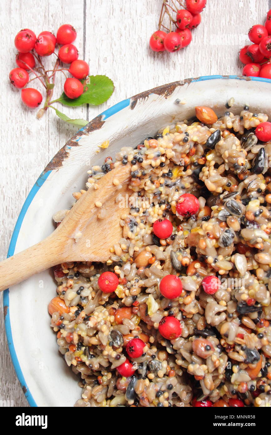 Step By Step 2 7 Making Winter Berry Bird Feeders With Cookie