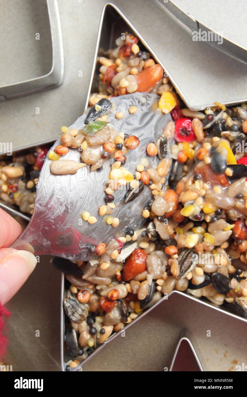 Step by step 3/7 Making winter berry bird feeders with cookie cutters
