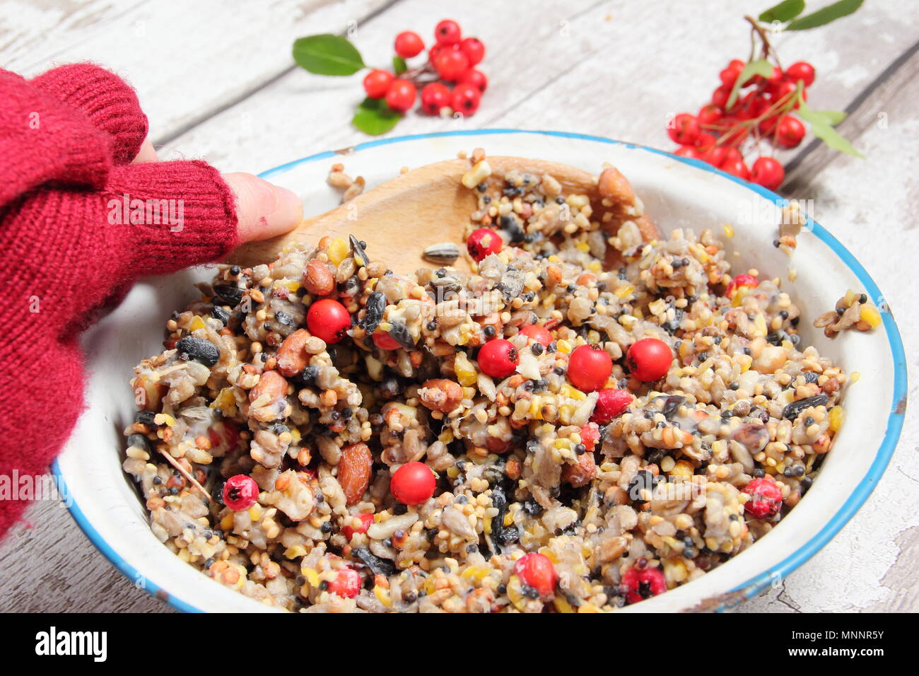 Step by step 2/7: Making winter berry bird feeders with cookie cutters.Mix nuts, seeds and berries with melted fat. Stir well to ensure fat covers all. Stock Photo