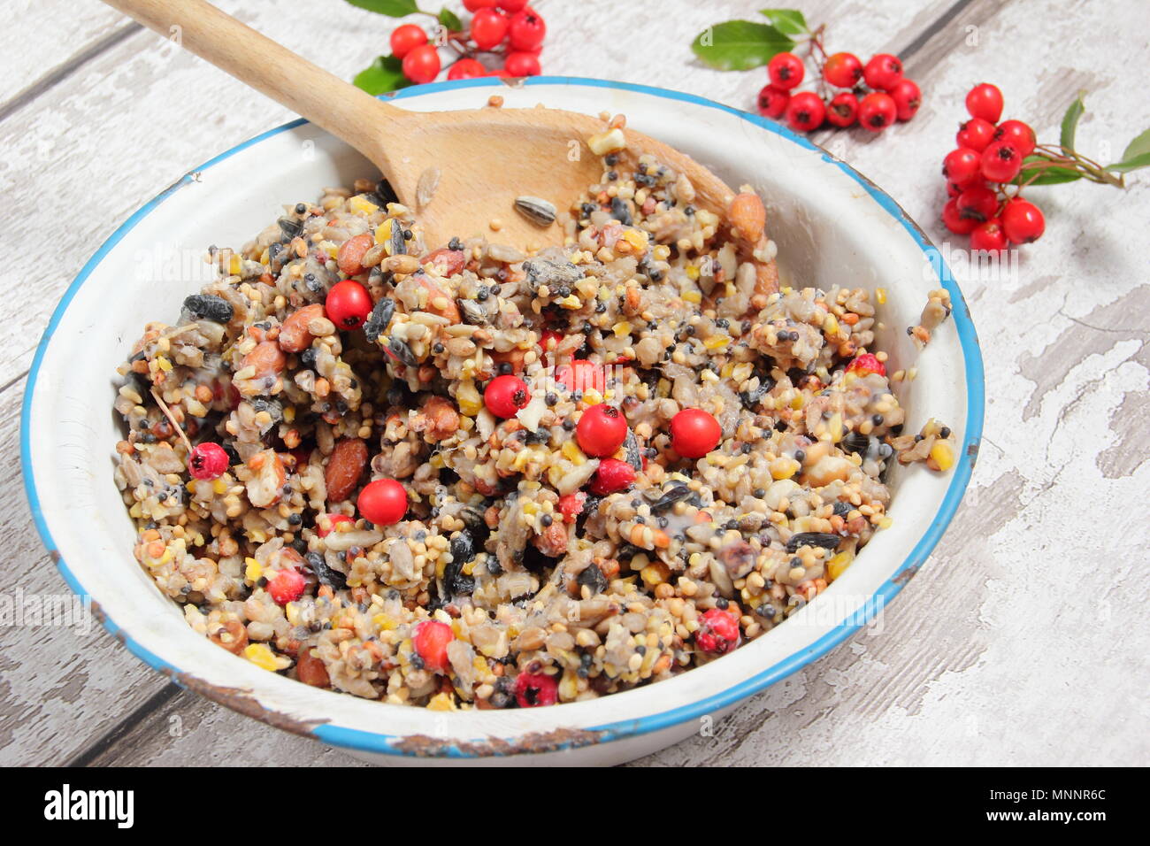 Step By Step 2 7 Making Winter Berry Bird Feeders With Cookie