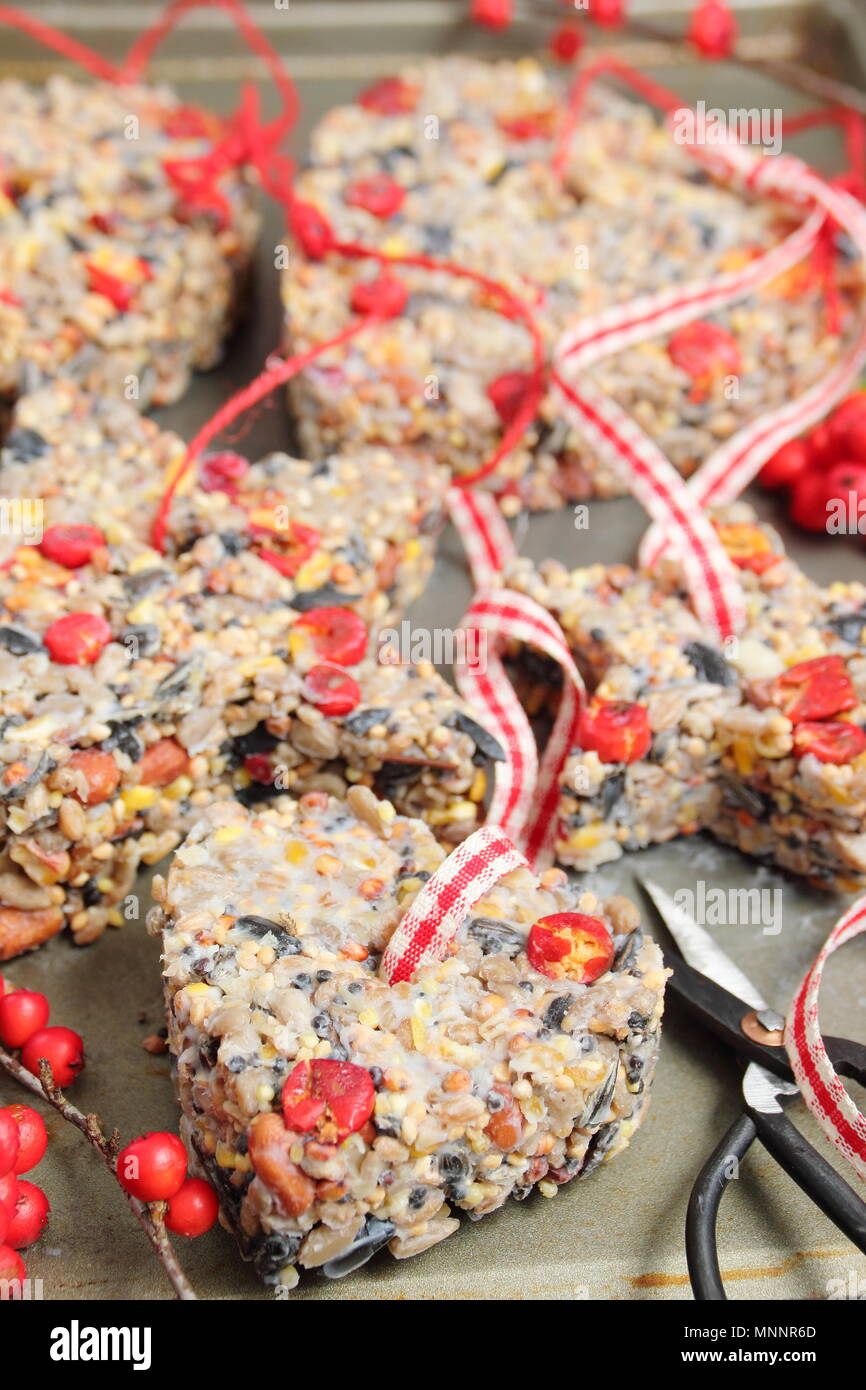 Step By Step 5 7 Making Winter Berry Bird Feeders With Cookie