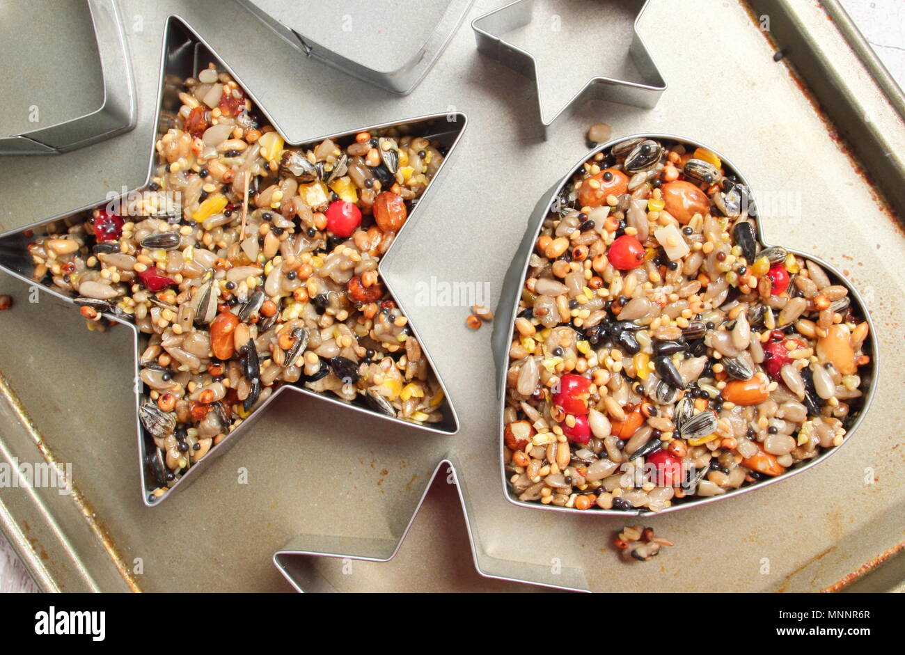 Step by step 3/7 Making winter berry bird feeders with cookie cutters