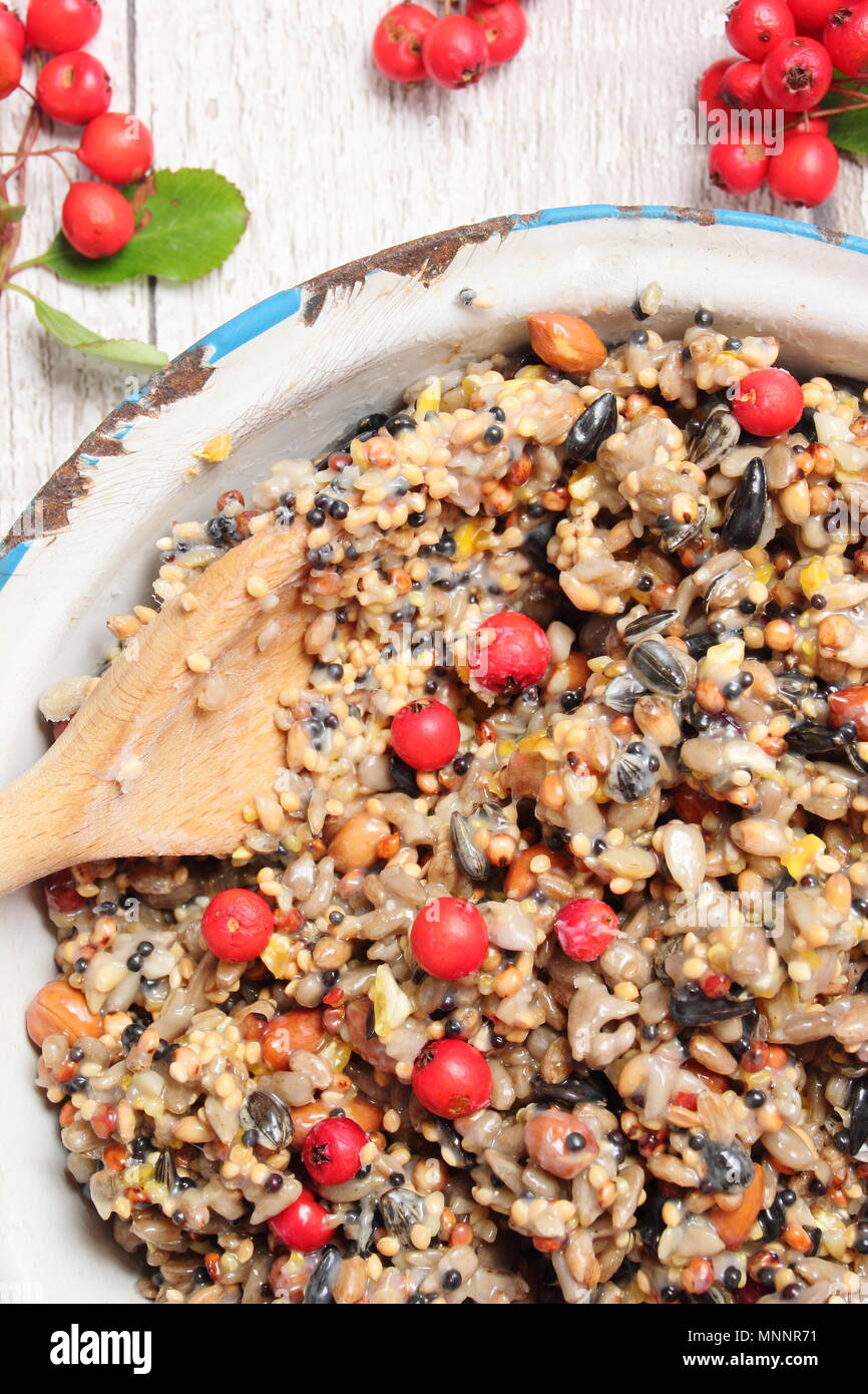 Step by step 2/7 Making winter berry bird feeders with cookie cutters