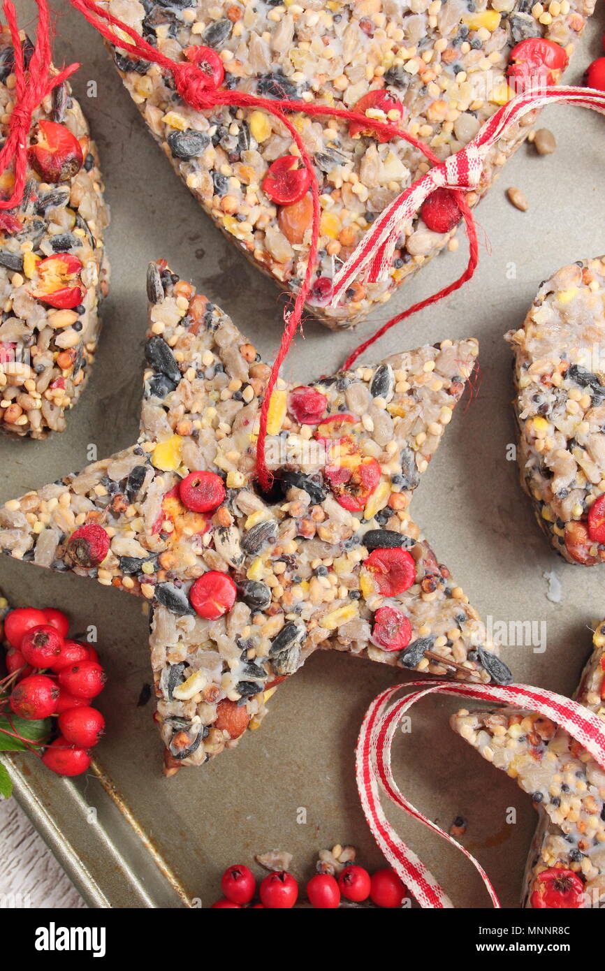 Step By Step 5 7 Making Winter Berry Bird Feeders With Cookie