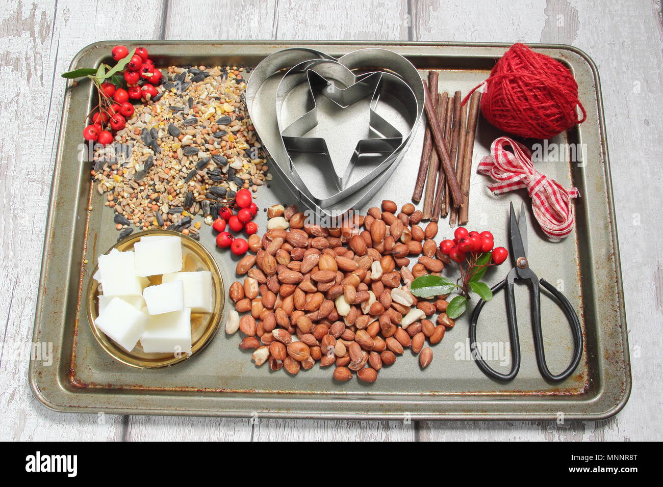 Step By Step 1 7 Making Winter Berry Bird Feeders With Cookie