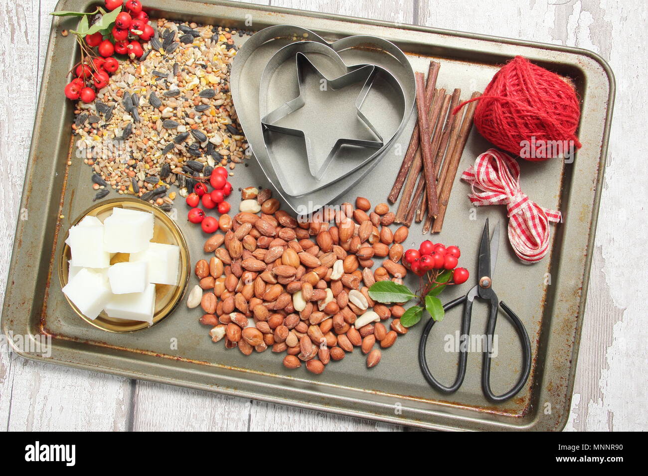 Step by step 1/7: Making winter berry bird feeders with cookie cutters. Requirement: hedgerow berries, seeds, nuts, lard, twine, cookie cutters, twigs Stock Photo