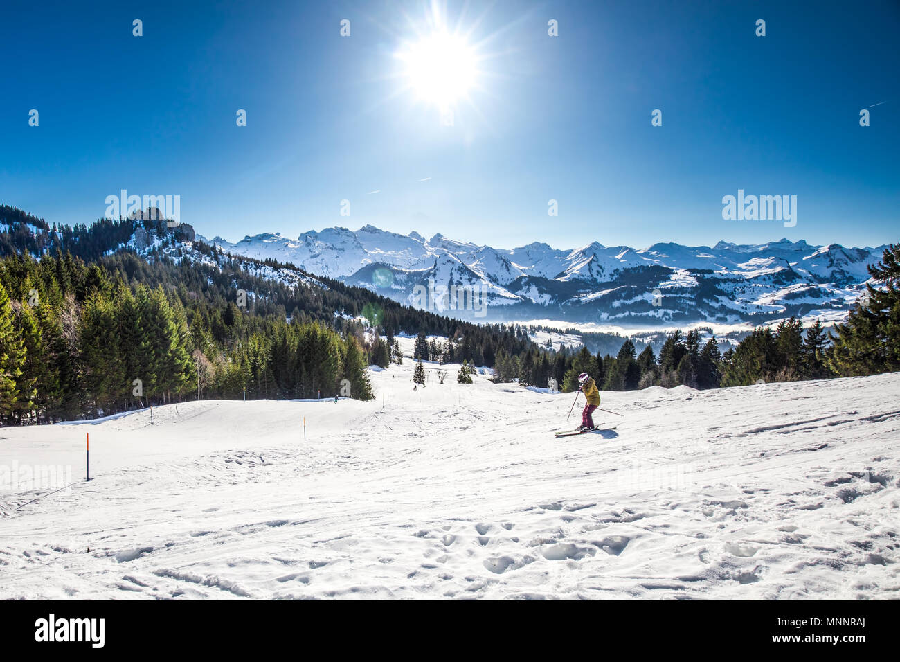 Beautiful winter landscape picture. Skier skiing in Swiss Alps covered by snow. Ibergeregg, Switzerland, Europe. Stock Photo