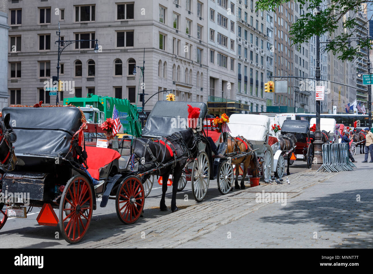Central park spring horse hi-res stock photography and images - Alamy