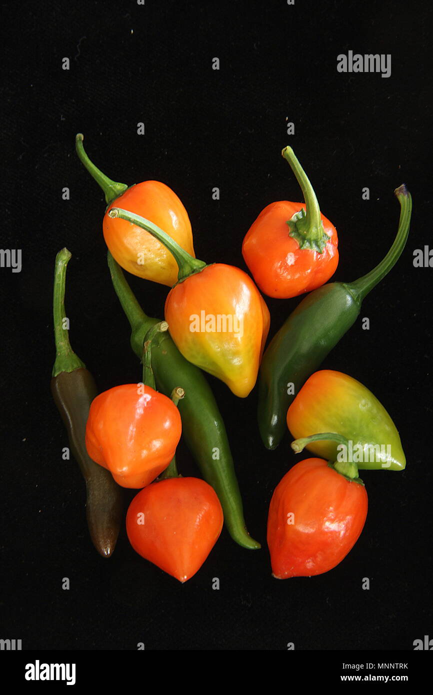 Thai chillies hi-res stock photography and images - Alamy
