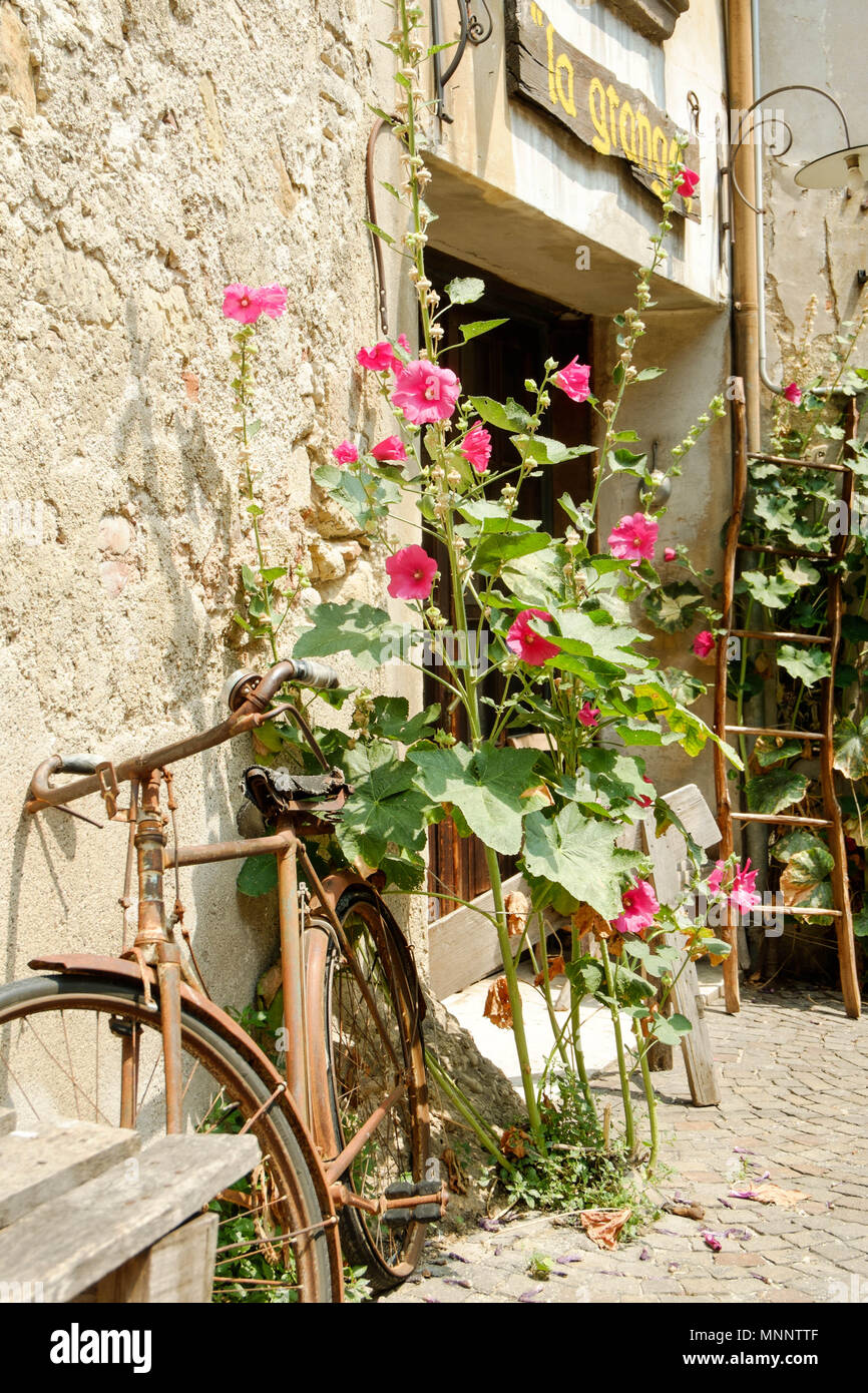 The Italian town of Asolo in the Veneto region is an authentic pearl of Treviso. Here, an old bike functions as art, combined with pink roses.. Stock Photo