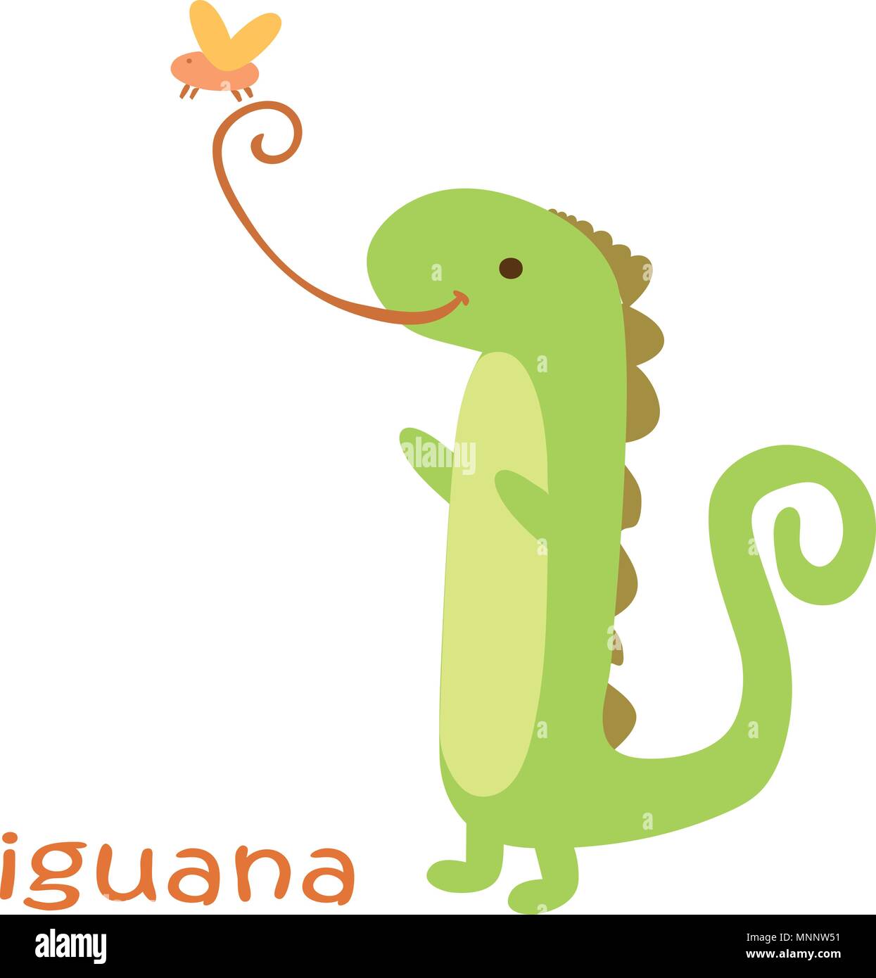 Iguana isolated. Drawing iguana for a child Stock Vector Image & Art - Alamy