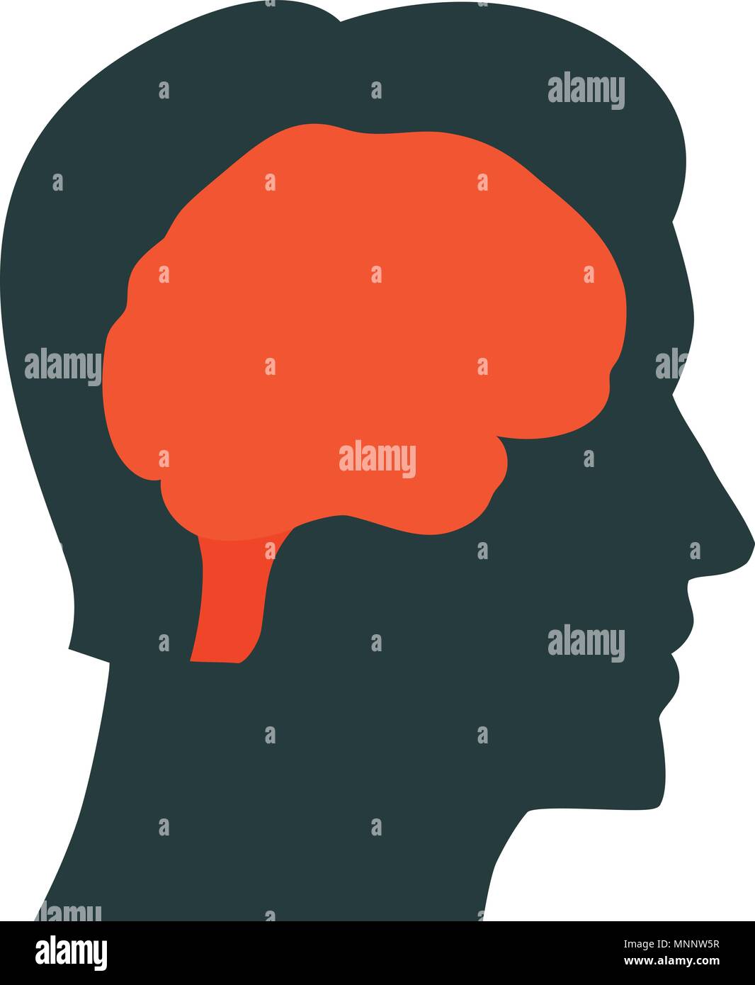 Human brain vector illustration. Human brain Icon Stock Vector Image ...