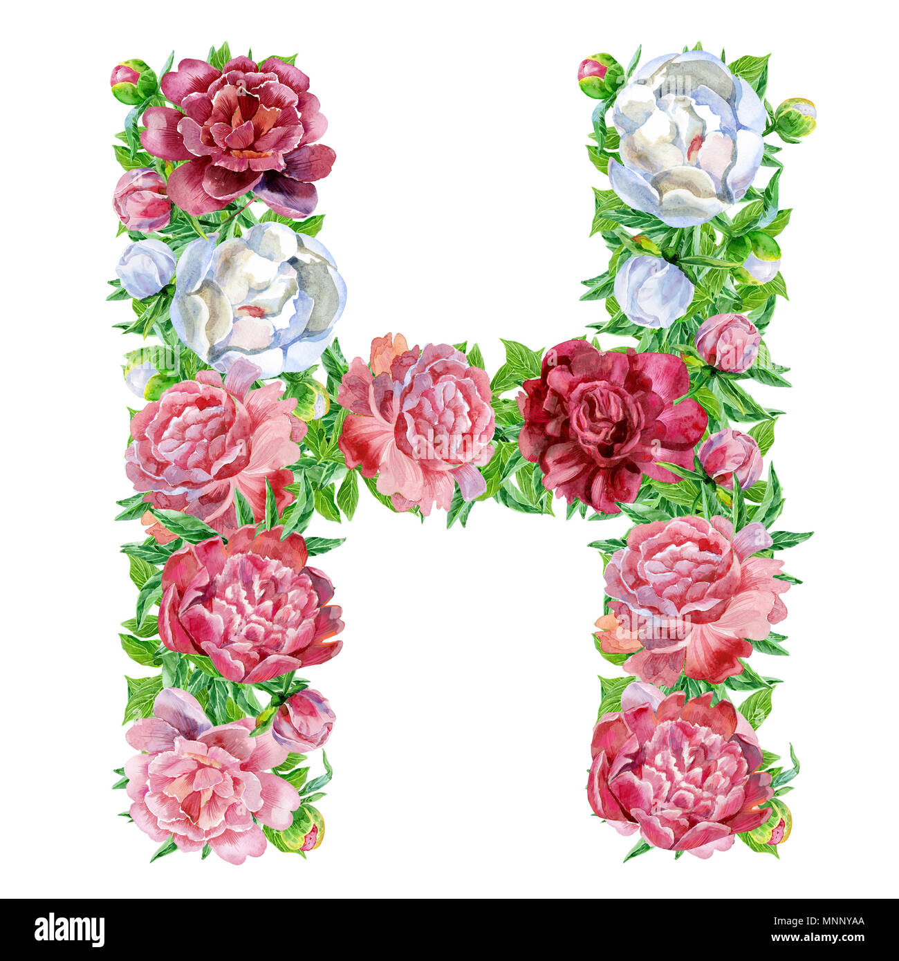 Letter H of watercolor flowers, isolated hand drawn on a white