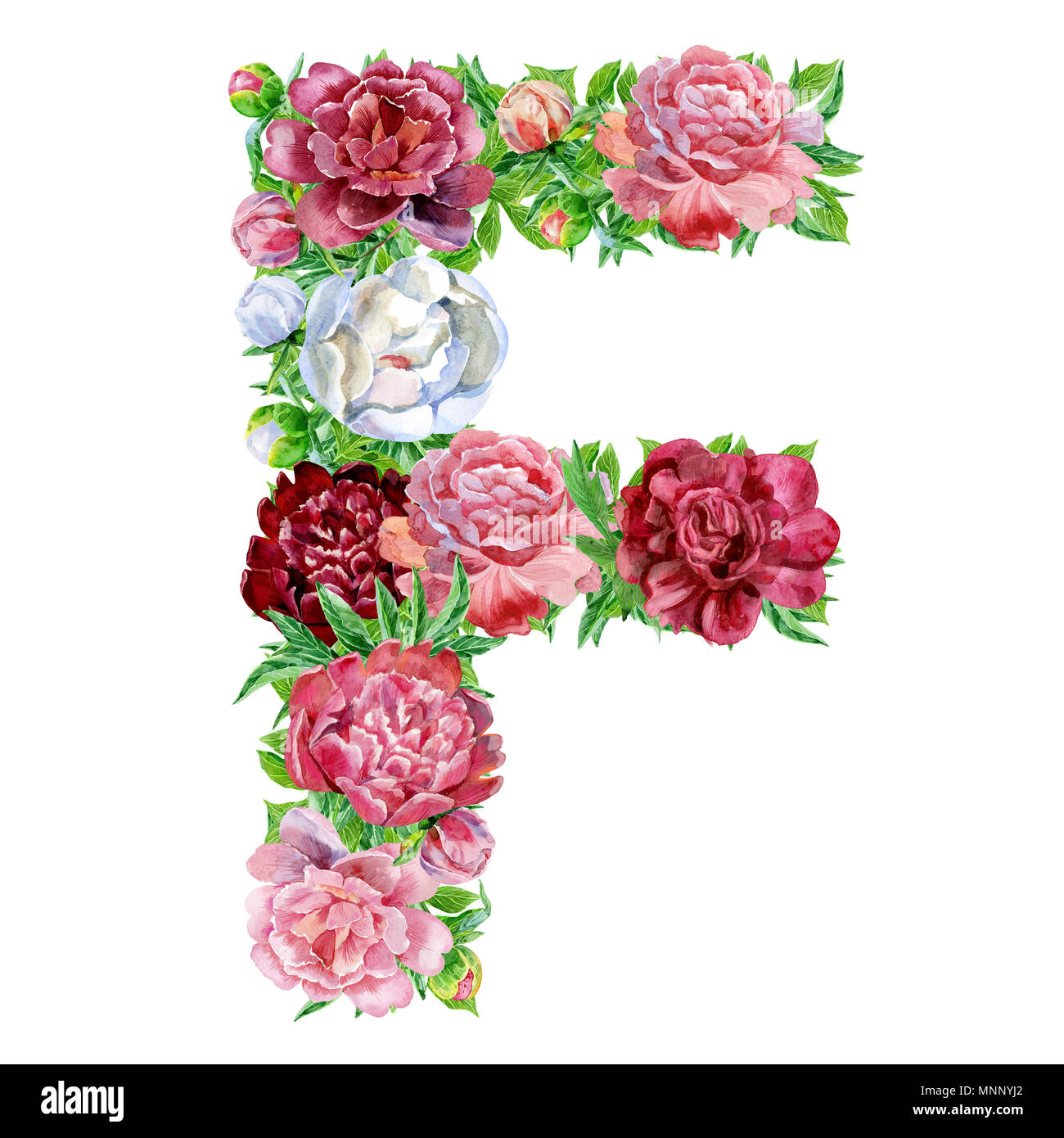 Letter F of watercolor flowers, isolated hand drawn on a white ...