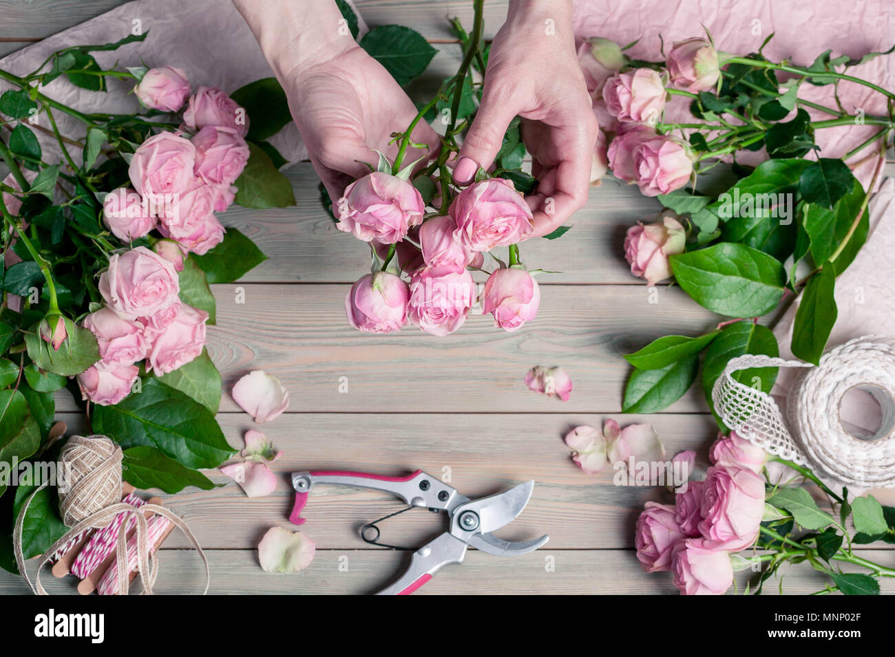 Work Sorting Roses Florist at work. Elegant female hands collect a wedding bouquet of pink ...