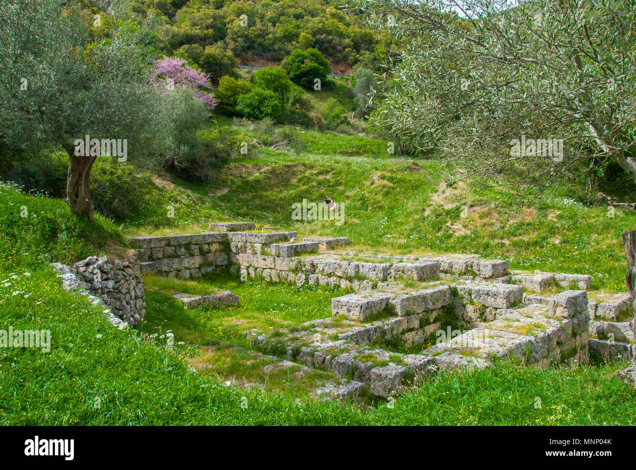 The ancient city Gortys (Gortyna), located in the valley of the Lousios