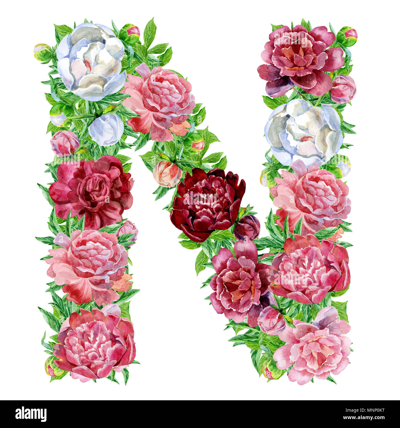 Letter N of watercolor flowers, isolated hand drawn on a white background, wedding design, english alphabet Stock Photo