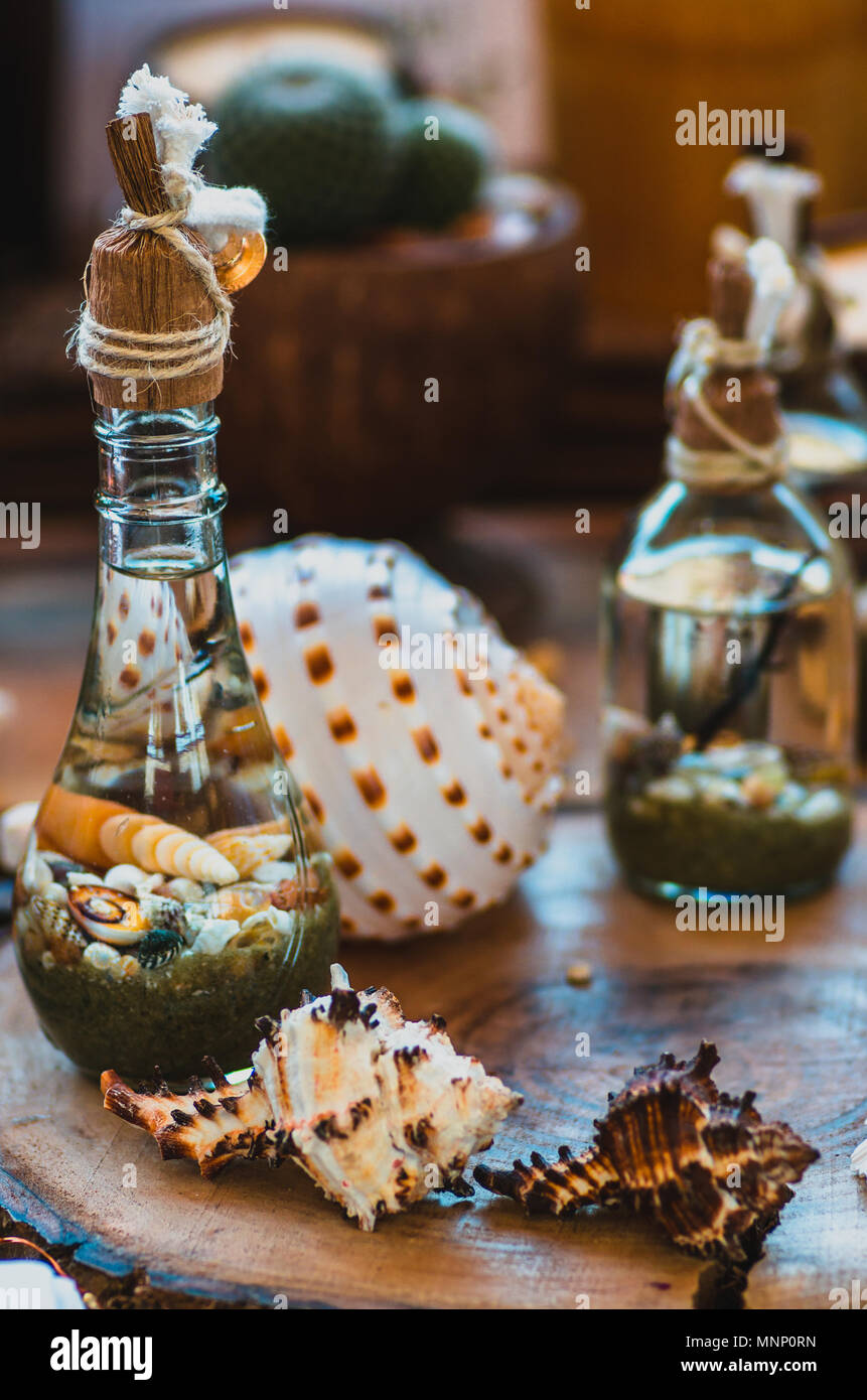 Colorful seashells inside little flasks displayed on a wooden plate ...