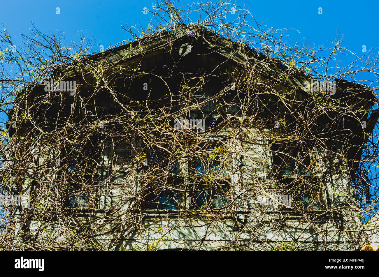 Abandoned haunted house in Istanbul, Turkey Stock Photo