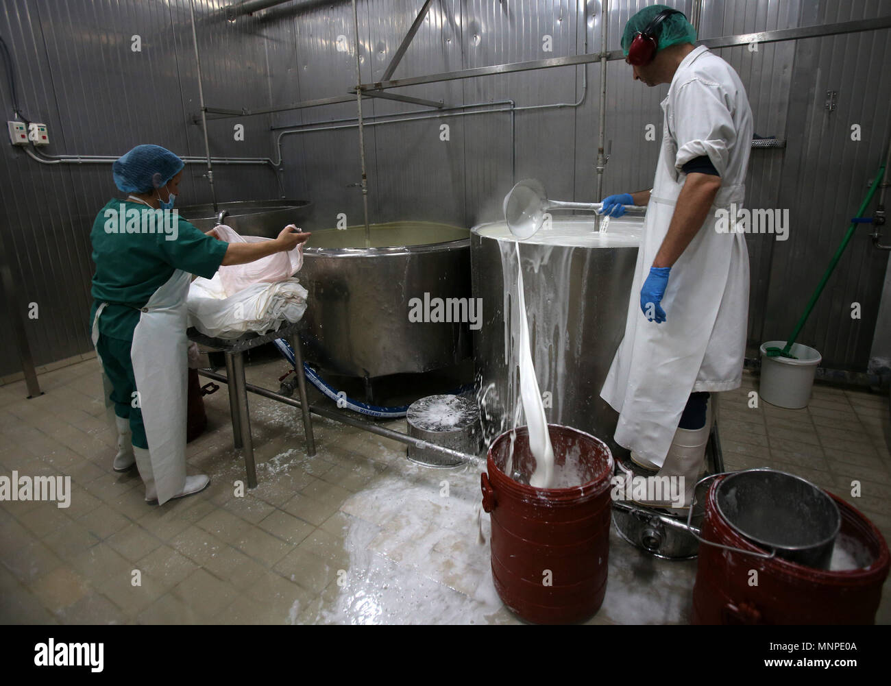 (180519) -- CORINTH, May 19, 2018 (Xinhua) -- People work at a cheese factory in Kalliani village of Corinth, some about 70 Km west of Athens, Greece, on May 16, 2018. In the highlands of Corinth prefecture at the Peloponnese peninsula, just two hours from Athens, local agricultural small businesses turn to extroversion to survive the economic crisis. To go with Feature: Greek agricultural community more extrovert in seeking business opportunities. (Xinhua/Marios Lolos) (dtf) Stock Photo
