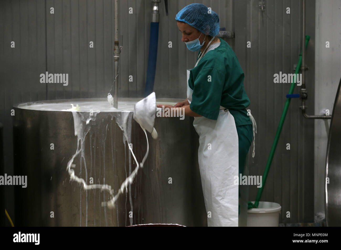 (180519) -- CORINTH, May 19, 2018 (Xinhua) -- A woman works at a cheese factory in Kalliani village of Corinth, some about 70 Km west of Athens, Greece, on May 16, 2018. In the highlands of Corinth prefecture at the Peloponnese peninsula, just two hours from Athens, local agricultural small businesses turn to extroversion to survive the economic crisis. To go with Feature: Greek agricultural community more extrovert in seeking business opportunities. (Xinhua/Marios Lolos) (dtf) Stock Photo