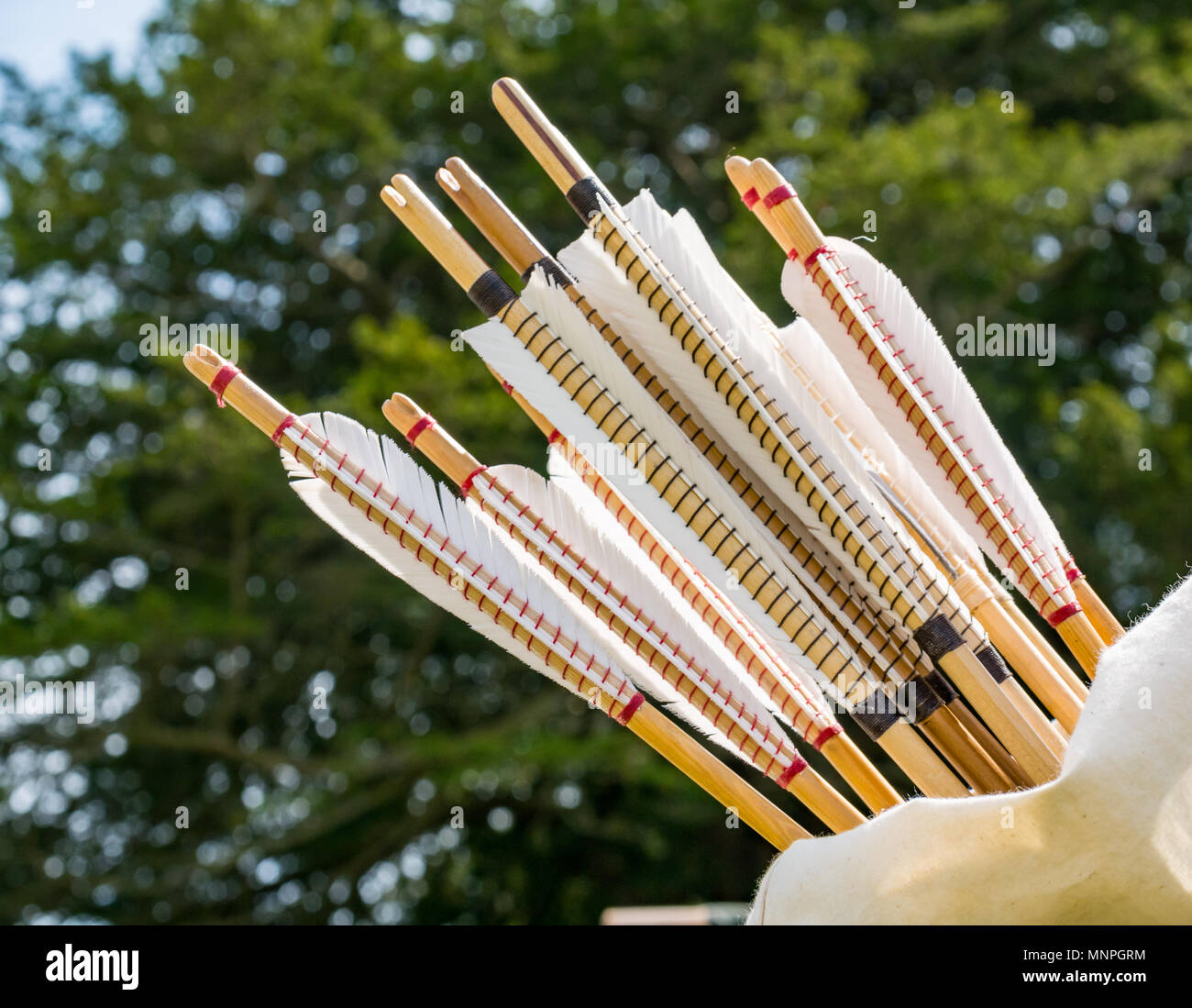 Historic saltire society hires stock photography and images Alamy