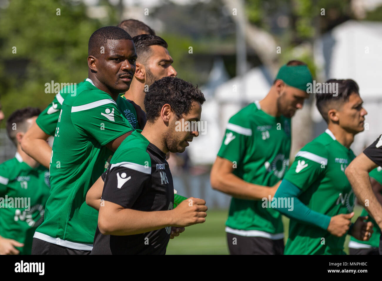 Lisbon, Portugal, May 19, 2018. Sportings midfielder from Portugal William Carvalho (14) in action during the practice for the final of the Portuguese Cup © Alexandre de Sousa/Newzulu Credit: Alexandre Sousa/Alamy Live News Stock Photo