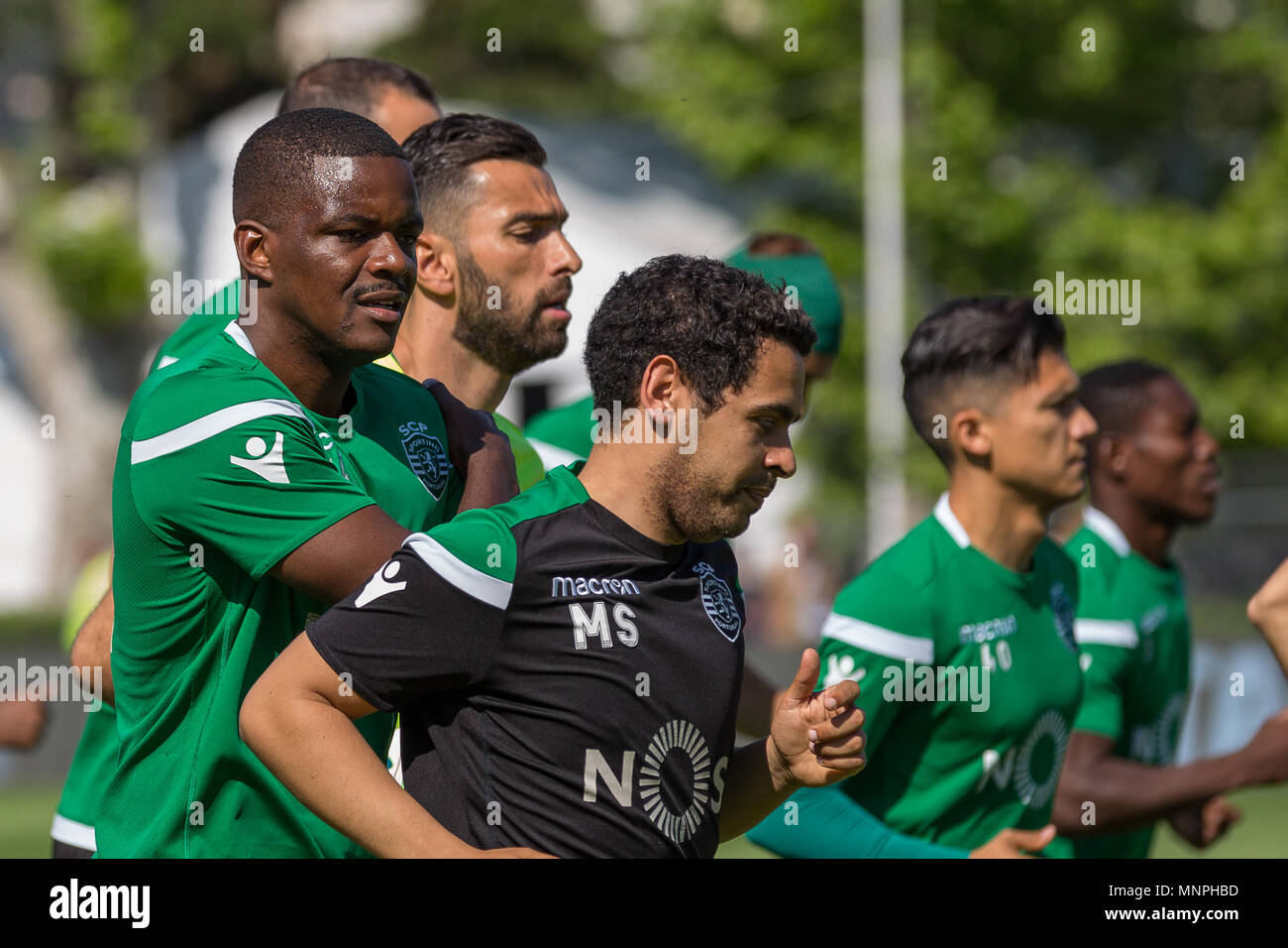 Lisbon, Portugal, May 19, 2018. Sportings midfielder from Portugal William Carvalho (14) in action during the practice for the final of the Portuguese Cup © Alexandre de Sousa/Newzulu Credit: Alexandre Sousa/Alamy Live News Stock Photo