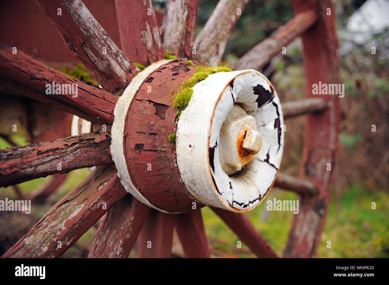 An aging wooden wheel. Stock Photo