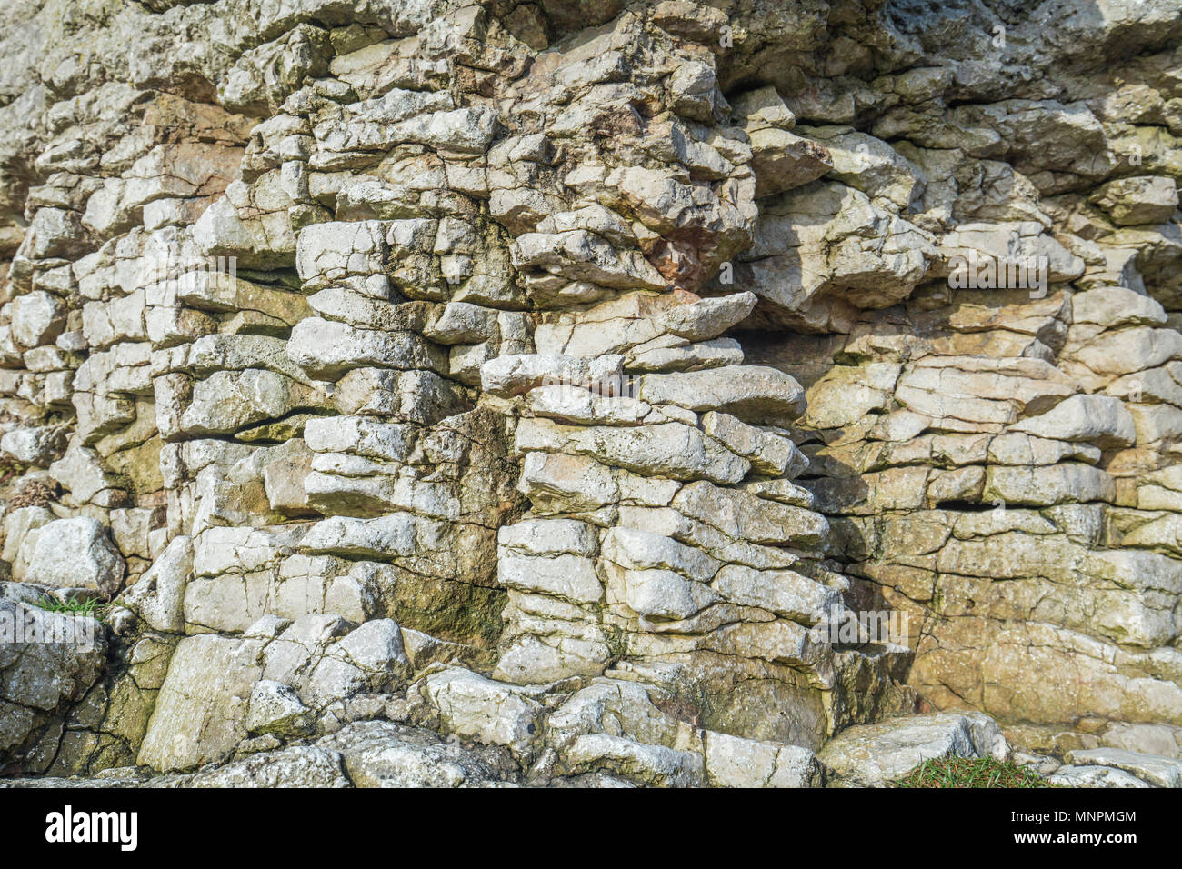 Surface of heavilly eroded marine cliff rock in brown-grey colours Stock Photo