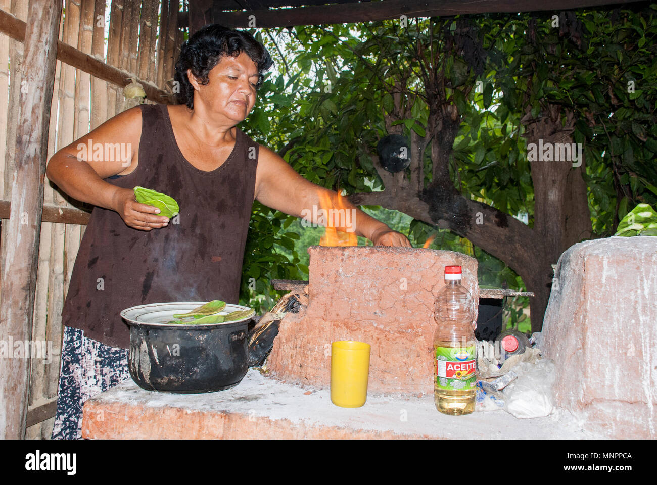 Old Mexican Lady Cooking Prickly Pear Cactus in traditional way