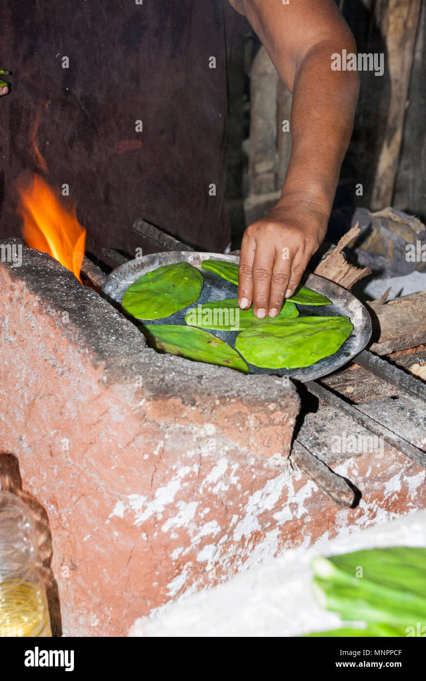 Old Mexican Lady Cooking Prickly Pear Cactus in traditional way
